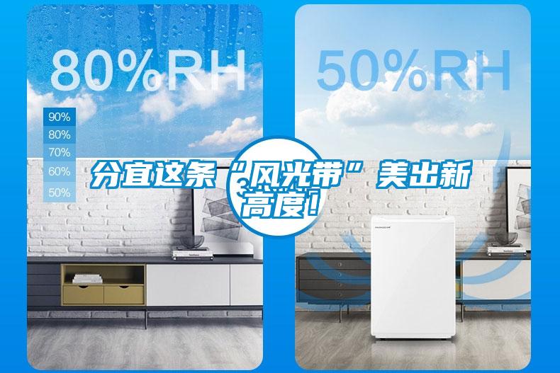 分宜這條“風(fēng)光帶”美出新高度！