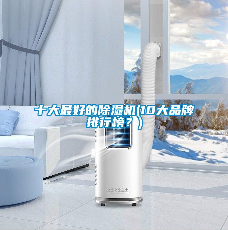 十大最好的除濕機(10大品牌排行榜？)