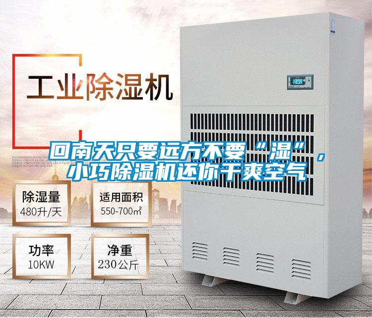 回南天只要遠方不要“濕”，小巧除濕機還你干爽空氣