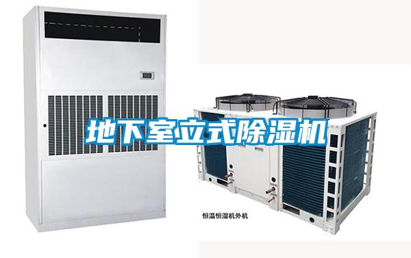 地下室立式除濕機