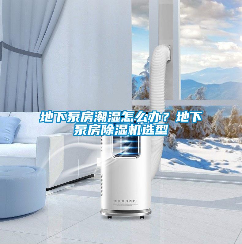 地下泵房潮濕怎么辦？地下泵房除濕機(jī)選型