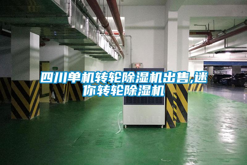 四川單機轉輪除濕機出售,迷你轉輪除濕機