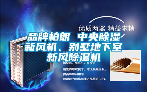 品牌柏朗 中央除濕新風(fēng)機(jī)、別墅地下室新風(fēng)除濕機(jī)