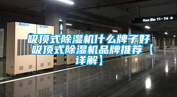 吸頂式除濕機什么牌子好 吸頂式除濕機品牌推薦【詳解】