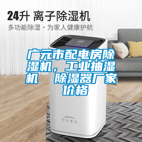 廣元市配電房除濕機(jī)，工業(yè)抽濕機(jī)  除濕器廠家 價(jià)格