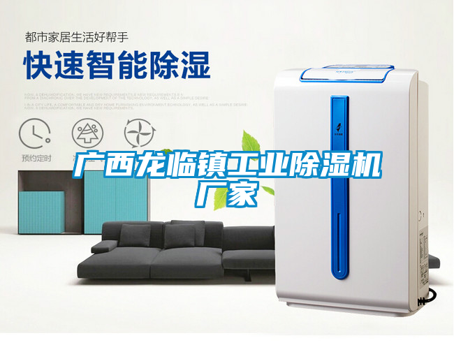 廣西龍臨鎮工業除濕機廠家