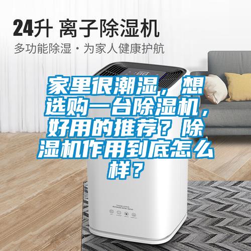 家里很潮濕，想選購一臺除濕機，好用的推薦？除濕機作用到底怎么樣？