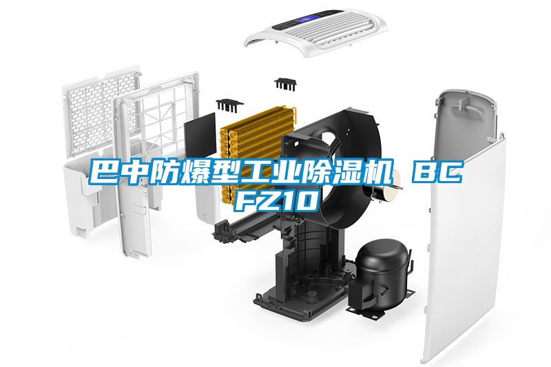巴中防爆型工業(yè)除濕機(jī) BCFZ10