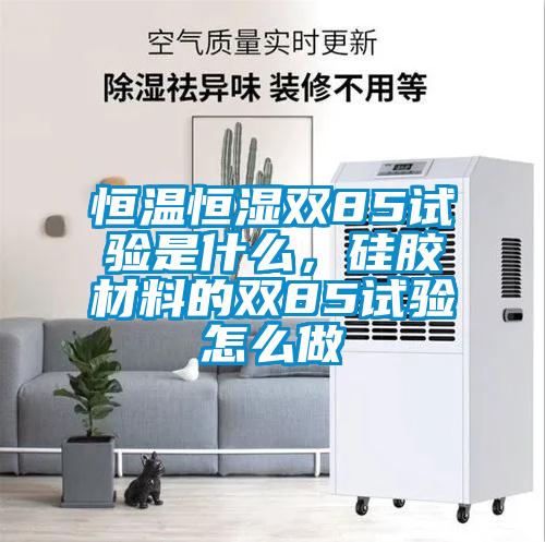 恒溫恒濕雙85試驗(yàn)是什么，硅膠材料的雙85試驗(yàn)怎么做