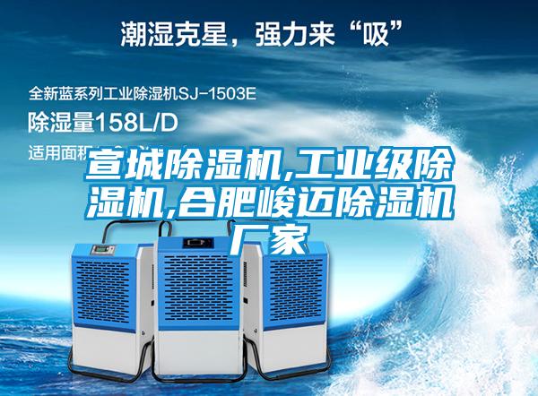 宣城除濕機,工業級除濕機,合肥峻邁除濕機廠家