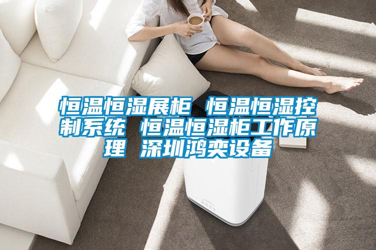 恒溫恒濕展柜 恒溫恒濕控制系統 恒溫恒濕柜工作原理 深圳鴻奕設備