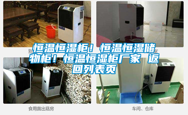 恒溫恒濕柜！恒溫恒濕儲物柜！恒溫恒濕柜廠家 返回列表頁