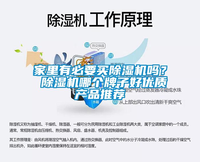 家里有必要買除濕機嗎？ 除濕機哪個牌子好優(yōu)質(zhì)產(chǎn)品推薦