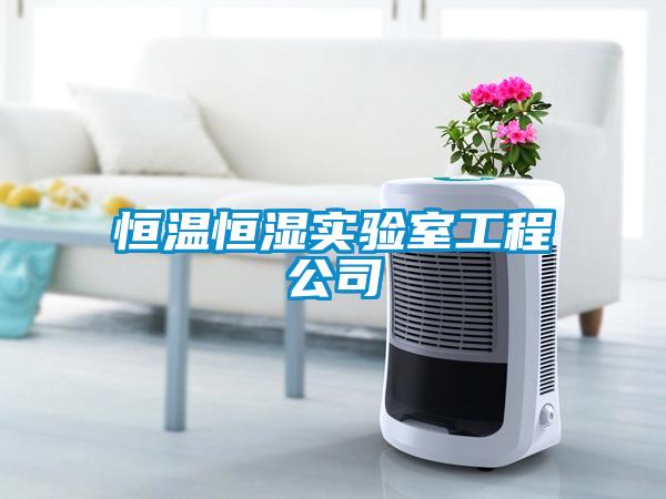 恒溫恒濕實驗室工程公司