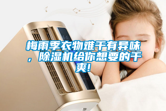 梅雨季衣物難干有異味，除濕機(jī)給你想要的干爽!