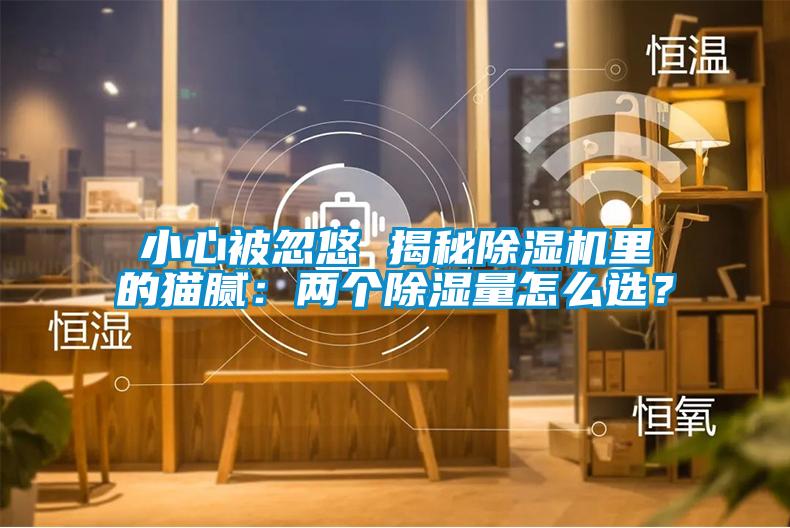 小心被忽悠 揭秘除濕機(jī)里的貓膩：兩個除濕量怎么選？