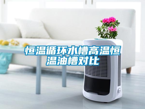 恒溫循環水槽高溫恒溫油槽對比