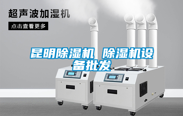 昆明除濕機 除濕機設備批發