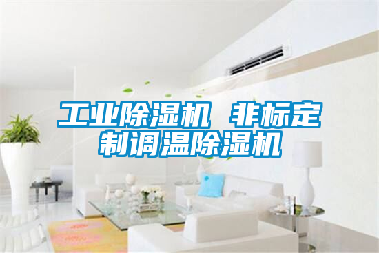 工業除濕機 非標定制調溫除濕機
