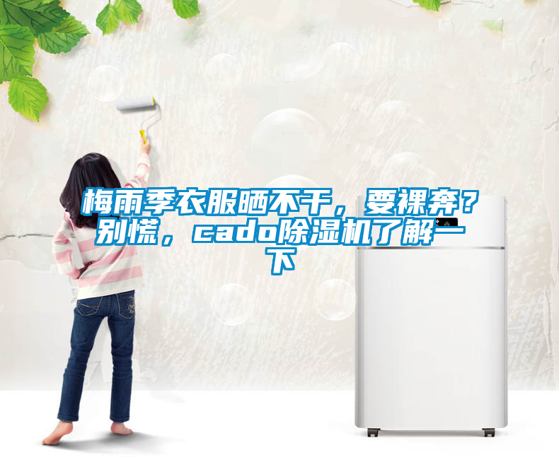梅雨季衣服曬不干，要裸奔？別慌，cado除濕機了解一下