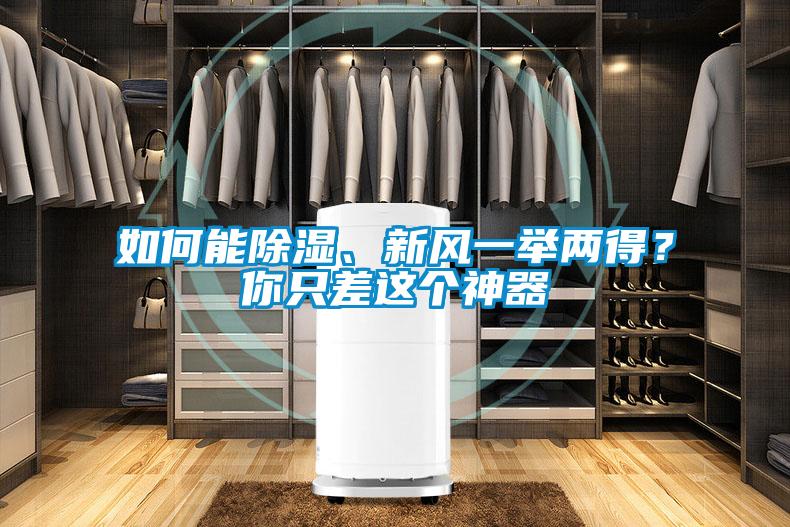 如何能除濕、新風一舉兩得？你只差這個神器