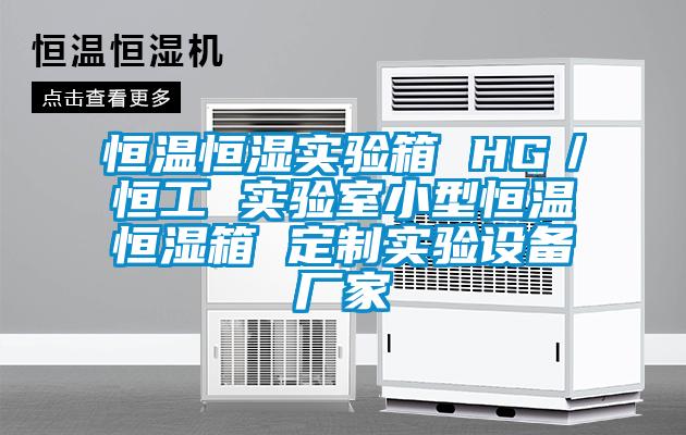 恒溫恒濕實(shí)驗(yàn)箱 HG／恒工 實(shí)驗(yàn)室小型恒溫恒濕箱 定制實(shí)驗(yàn)設(shè)備廠家
