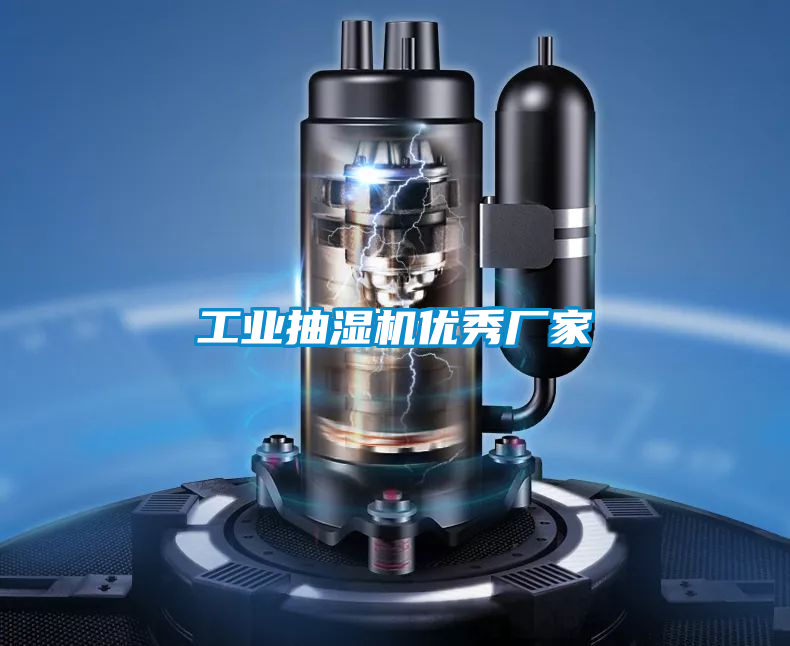 工業(yè)抽濕機優(yōu)秀廠家