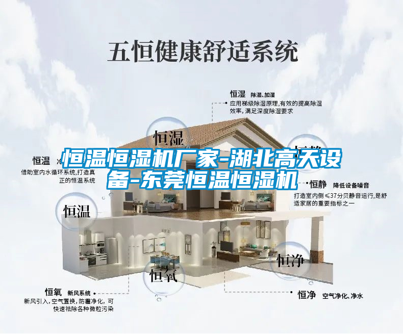 恒溫恒濕機(jī)廠家-湖北高天設(shè)備-東莞恒溫恒濕機(jī)