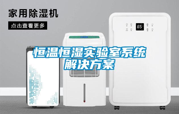 恒溫恒濕實驗室系統解決方案