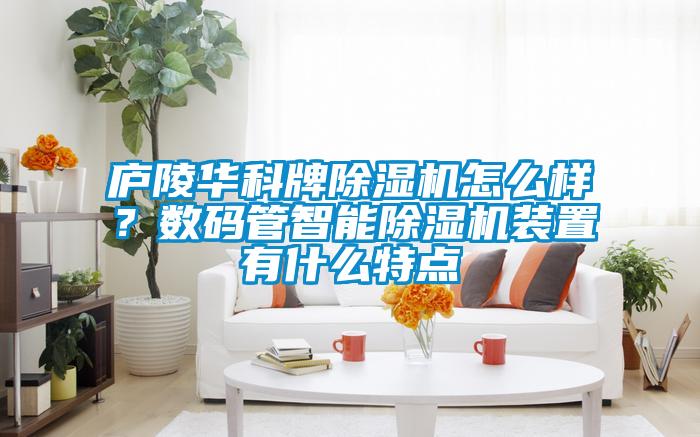 廬陵華科牌除濕機怎么樣？數碼管智能除濕機裝置有什么特點