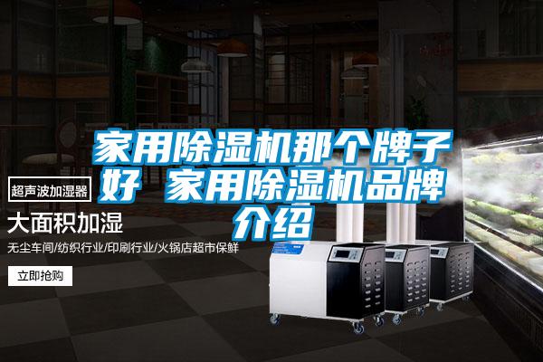 家用除濕機(jī)那個牌子好 家用除濕機(jī)品牌介紹