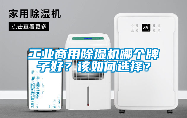 工業商用除濕機哪個牌子好？該如何選擇？
