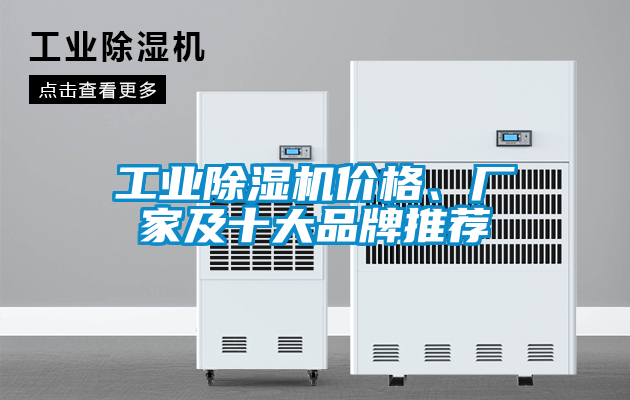 工業(yè)除濕機(jī)價(jià)格、廠家及十大品牌推薦