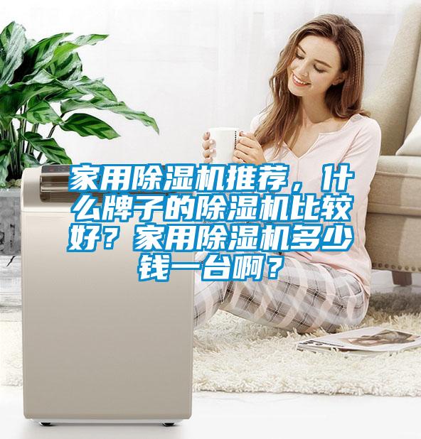 家用除濕機推薦，什么牌子的除濕機比較好？家用除濕機多少錢一臺啊？