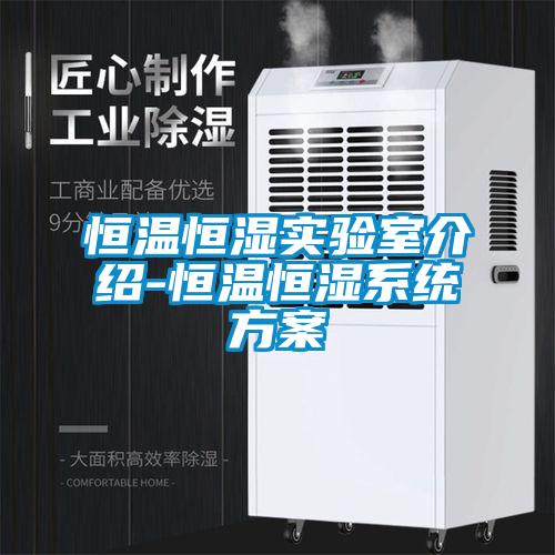 恒溫恒濕實驗室介紹-恒溫恒濕系統(tǒng)方案