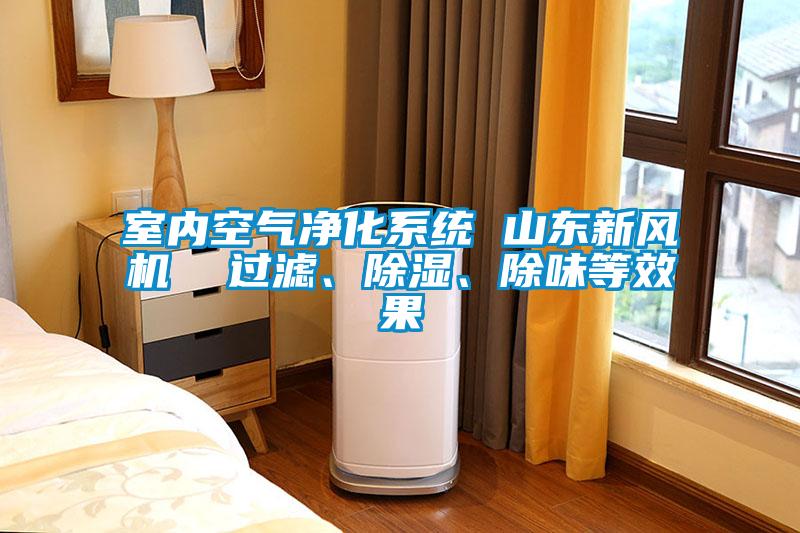 室內(nèi)空氣凈化系統(tǒng) 山東新風(fēng)機(jī)  過(guò)濾、除濕、除味等效果