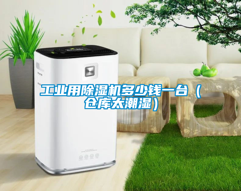 工業(yè)用除濕機(jī)多少錢一臺(tái)（倉庫太潮濕）