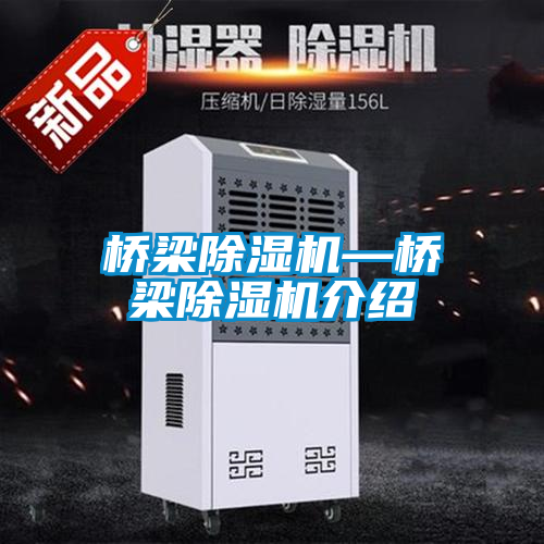 橋梁除濕機—橋梁除濕機介紹