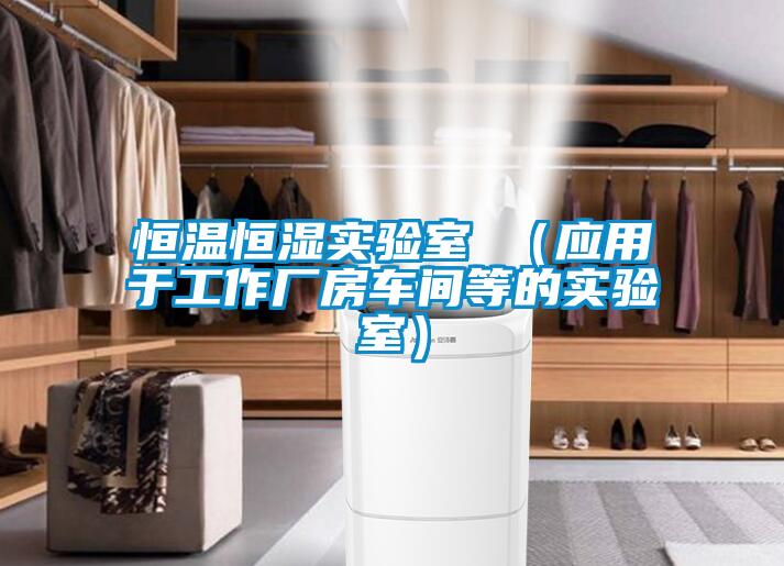 恒溫恒濕實(shí)驗(yàn)室 （應(yīng)用于工作廠房車間等的實(shí)驗(yàn)室）