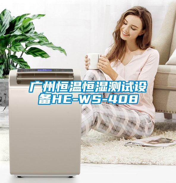 廣州恒溫恒濕測(cè)試設(shè)備HE-WS-408