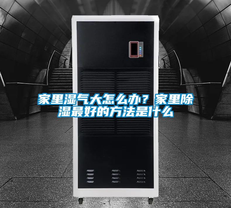 家里濕氣大怎么辦？家里除濕最好的方法是什么