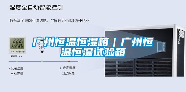 廣州恒溫恒濕箱｜廣州恒溫恒濕試驗箱