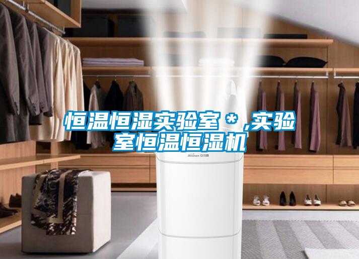 恒溫恒濕實驗室＊,實驗室恒溫恒濕機