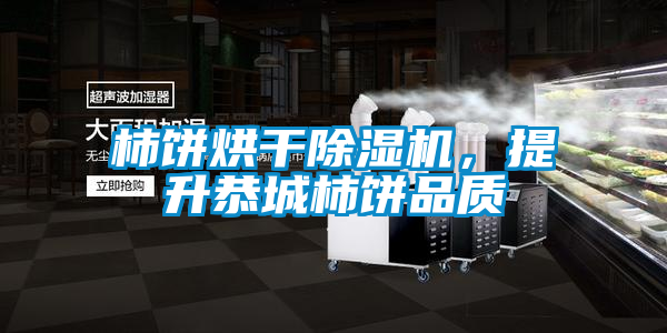柿餅烘干除濕機，提升恭城柿餅品質