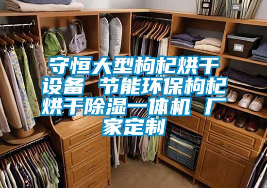 守恒大型枸杞烘干設(shè)備 節(jié)能環(huán)保枸杞烘干除濕一體機 廠家定制