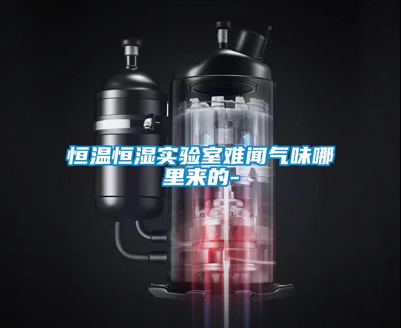 恒溫恒濕實驗室難聞氣味哪里來的-
