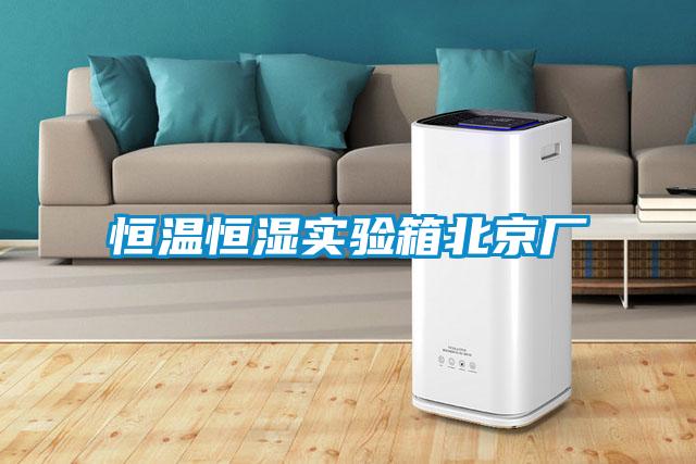 恒溫恒濕實(shí)驗(yàn)箱北京廠