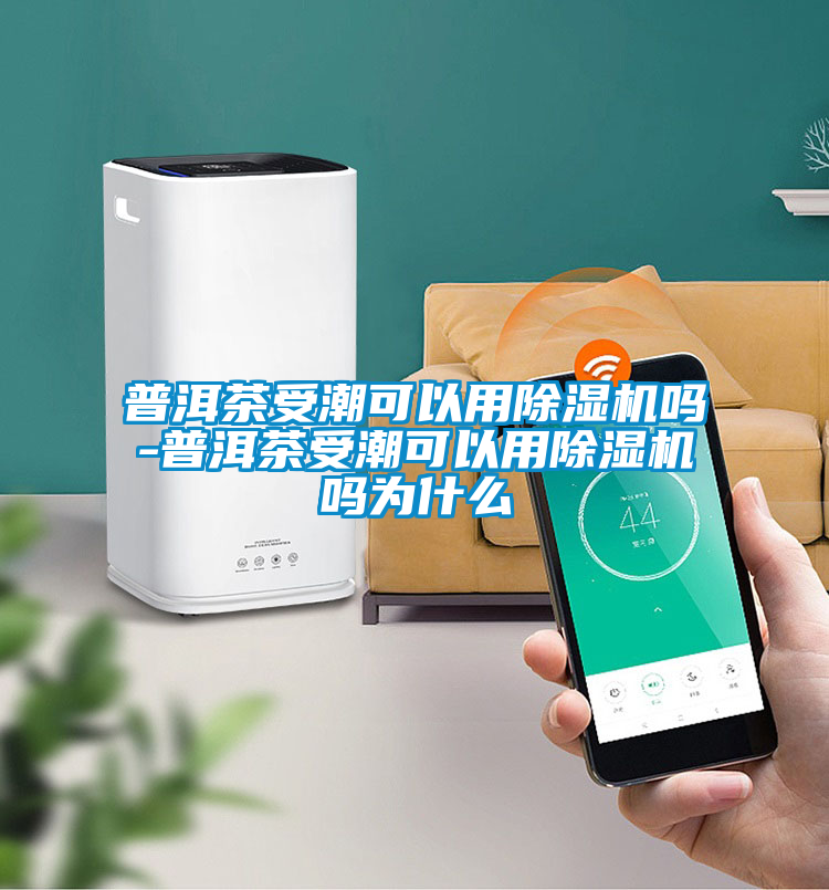 普洱茶受潮可以用除濕機嗎-普洱茶受潮可以用除濕機嗎為什么