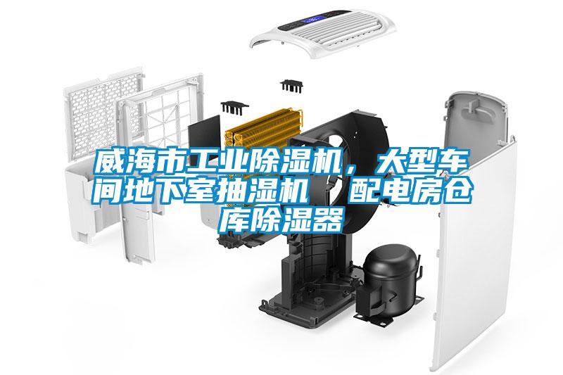 威海市工業(yè)除濕機(jī)，大型車間地下室抽濕機(jī)  配電房倉庫除濕器