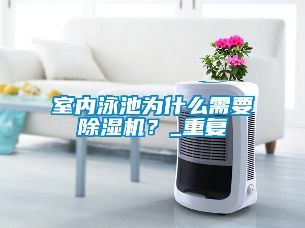 室內(nèi)泳池為什么需要除濕機？_重復(fù)